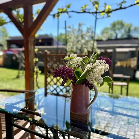 Seezeit & Romantisches Baumhaus * Storkow (Mark)